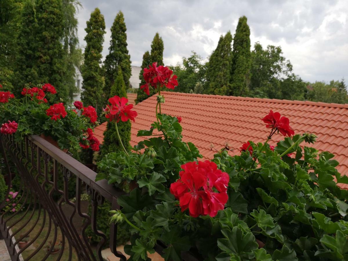 Julia Panzio Bed & Breakfast Hajduszoboszlo Luaran gambar