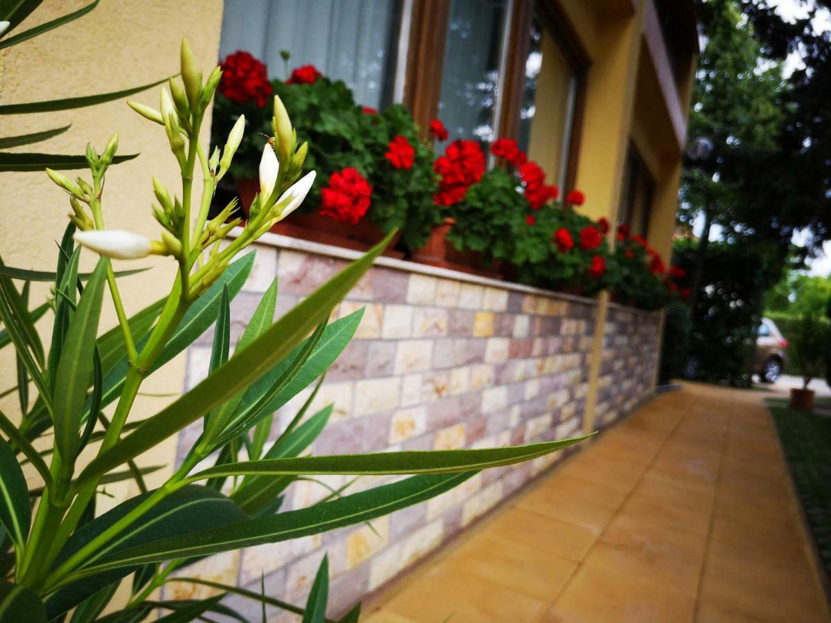 Julia Panzio Bed & Breakfast Hajduszoboszlo Luaran gambar
