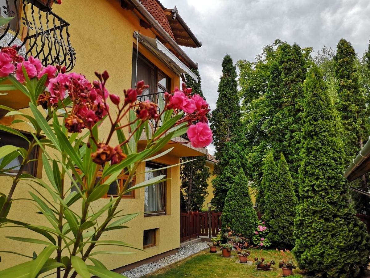 Julia Panzio Bed & Breakfast Hajduszoboszlo Luaran gambar