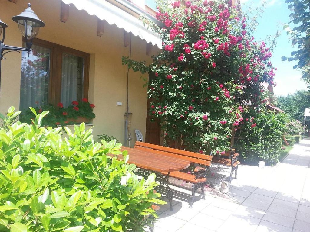 Julia Panzio Bed & Breakfast Hajduszoboszlo Luaran gambar